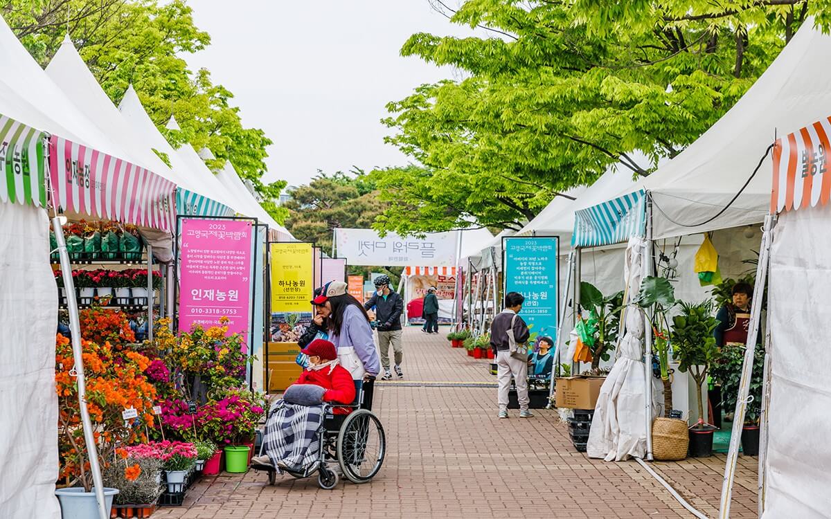 2025 고양 국제 꽃 박람회 할인 받고 예매하기