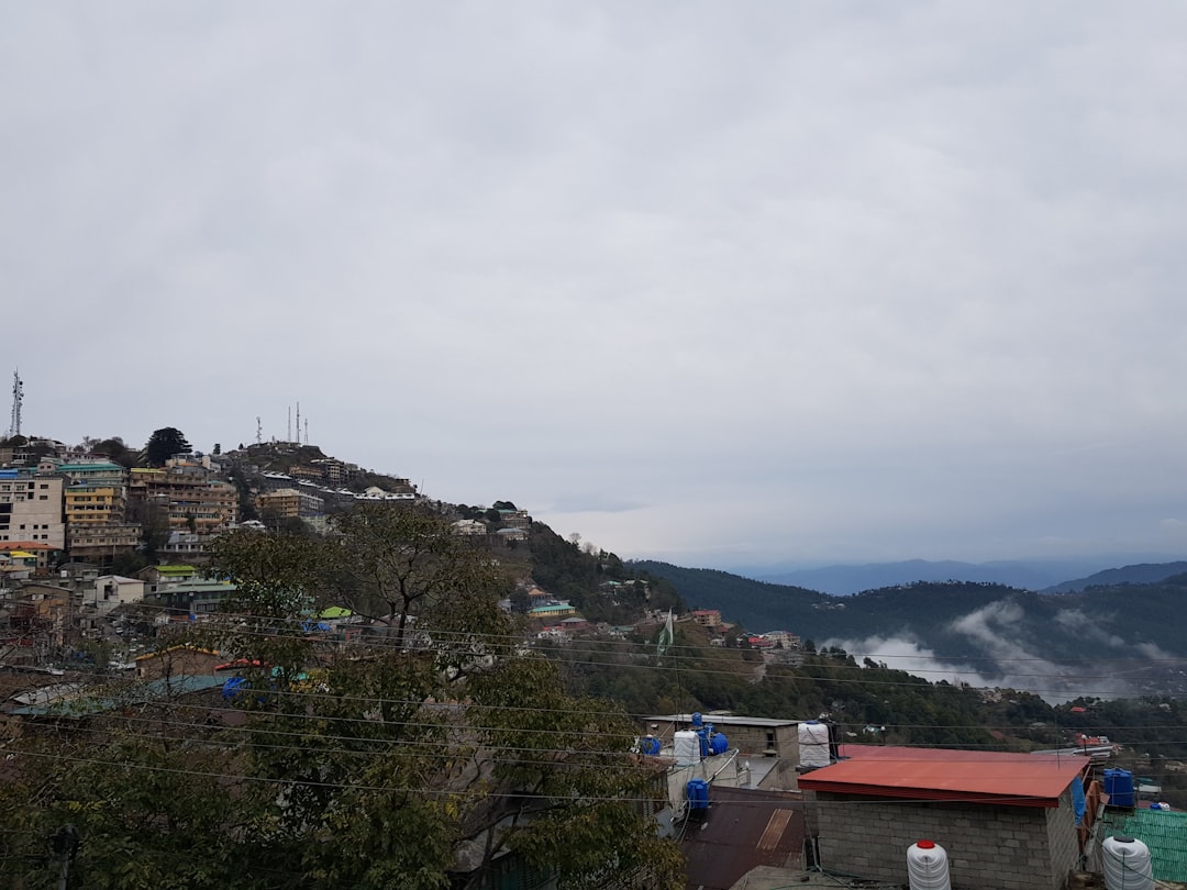 Samgyetang