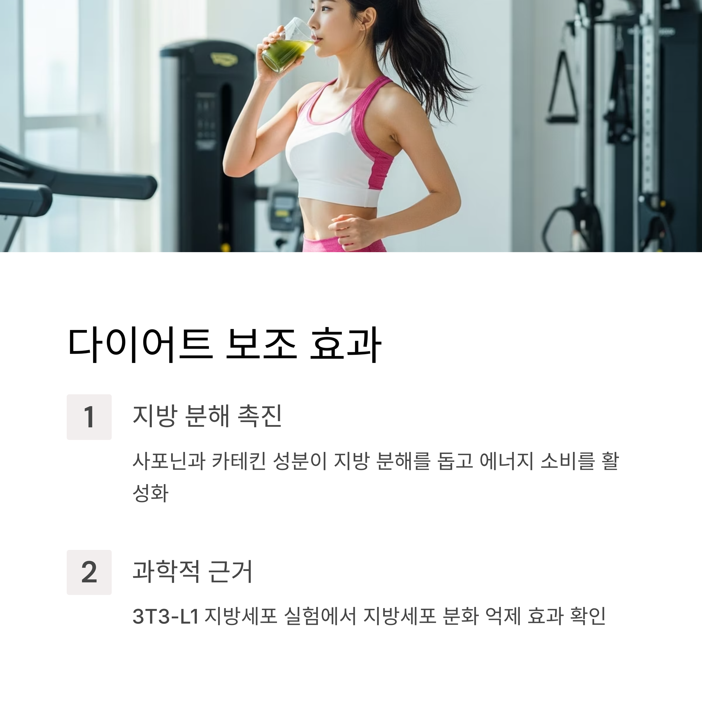 다이어트 보조 효과