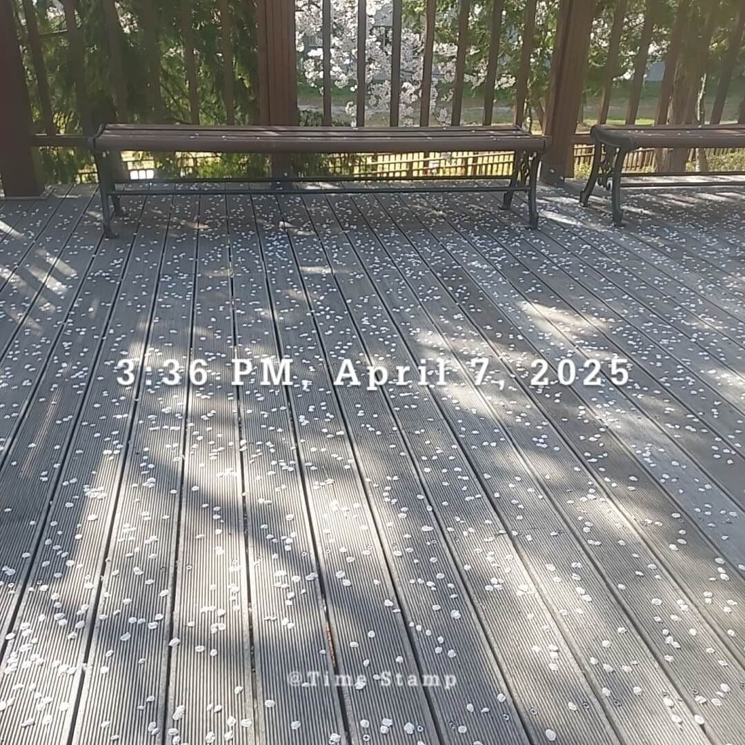 아로스100 올인원 강의