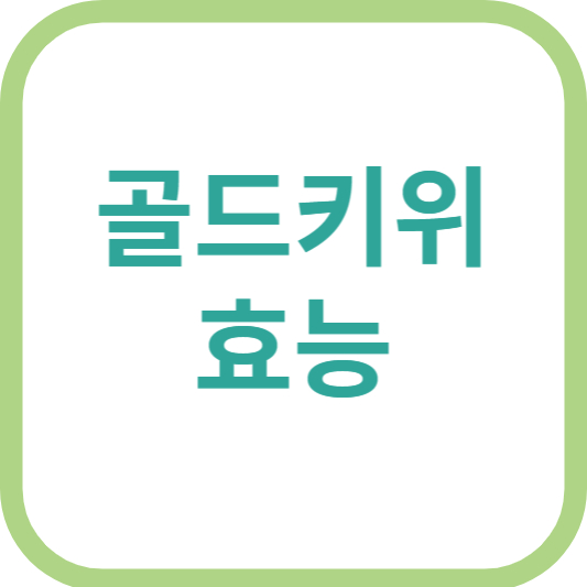 골드키위 효능