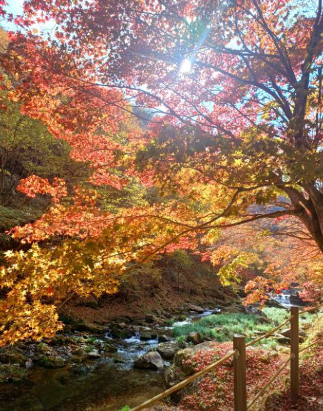 강천산군립공원