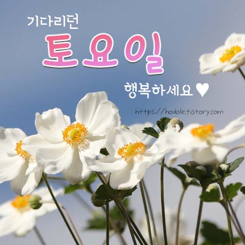 기다리던-토욜