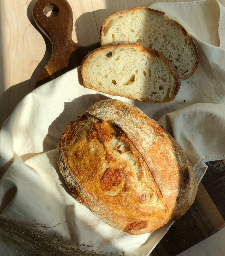 로빈브레드 가게 정보