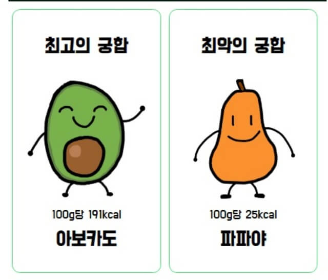 골드_키위_최고의_궁합_최악의_궁합