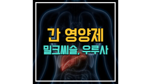 포스팅 썸네일 이미지