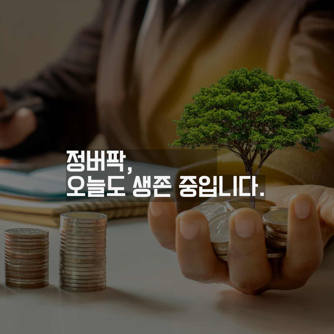 비상금처럼 단단하게