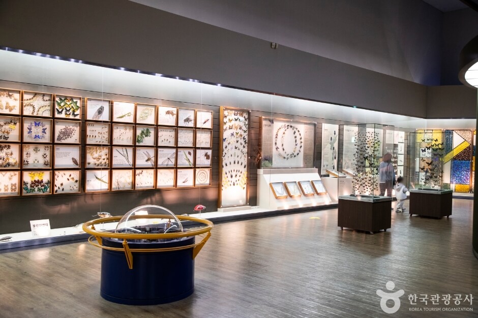 목포 가볼만한곳 BEST 5