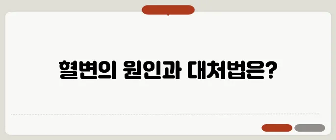 혈변 나왔다면 절대 가볍게 넘기지 마세요