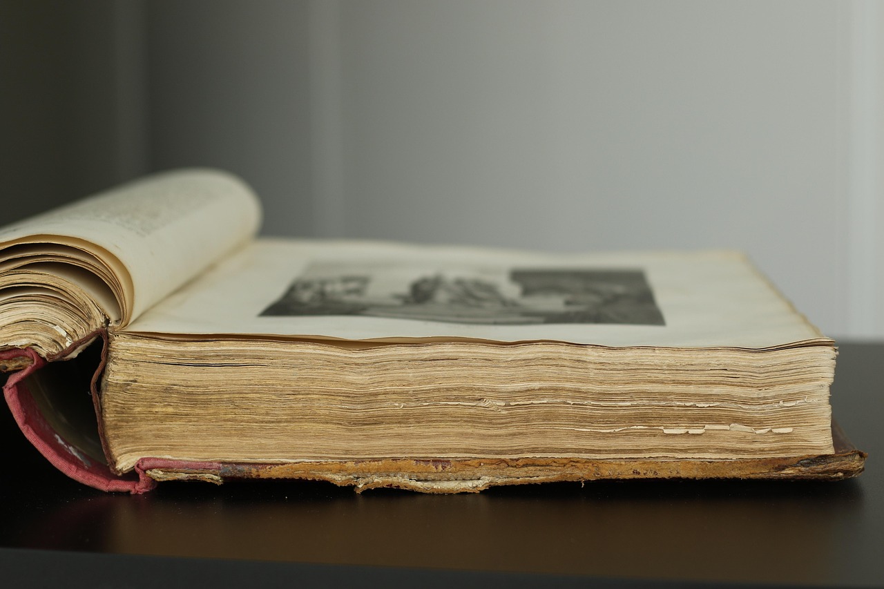 기록이 남아 있지 않은 생물을 조사하기 위해 자료를 살펴보는 모습