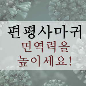 편평사마귀