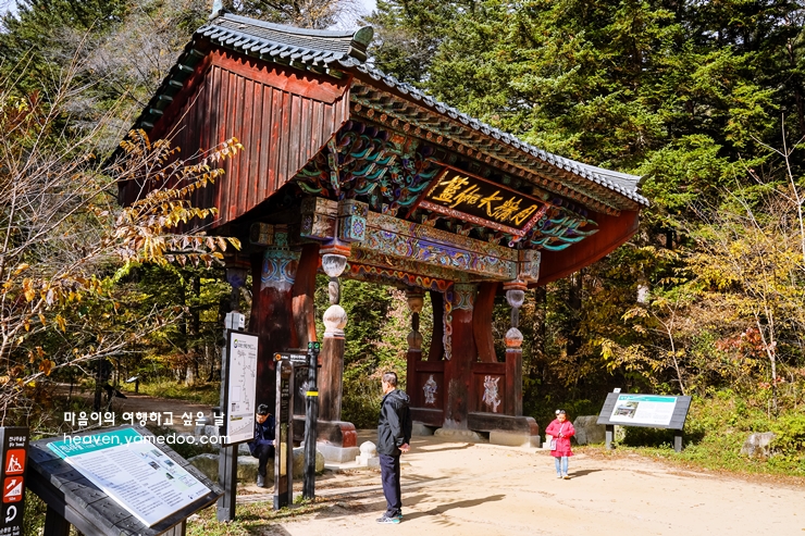 평창 가볼만한곳