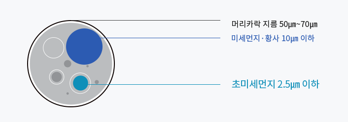 미세먼지 크기 비교