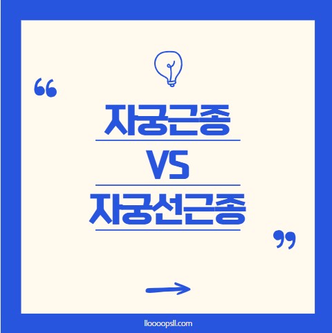 자궁근종과 자궁선근증, 뭐가 달라요?