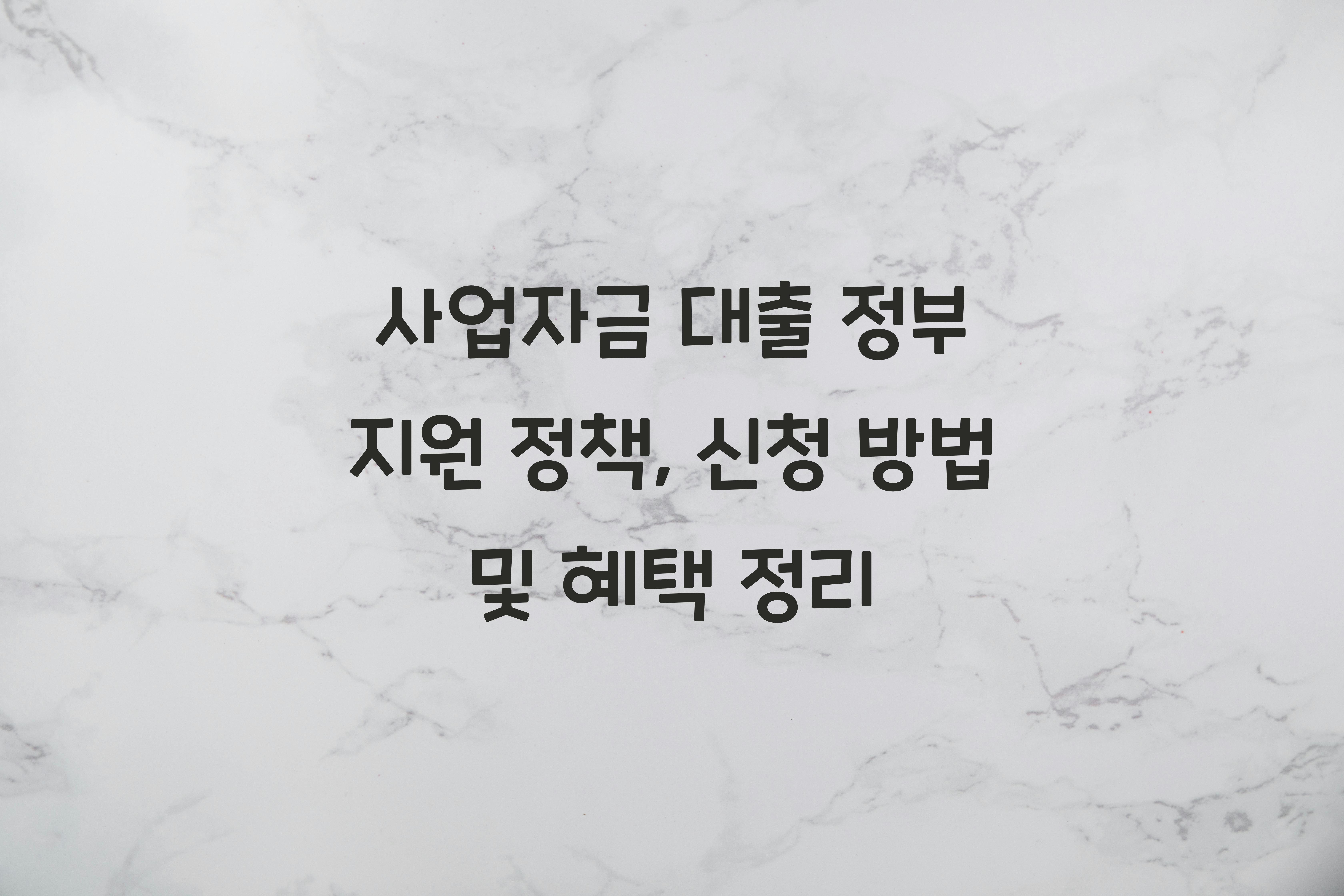 사업자금 대출 정부 지원 정책