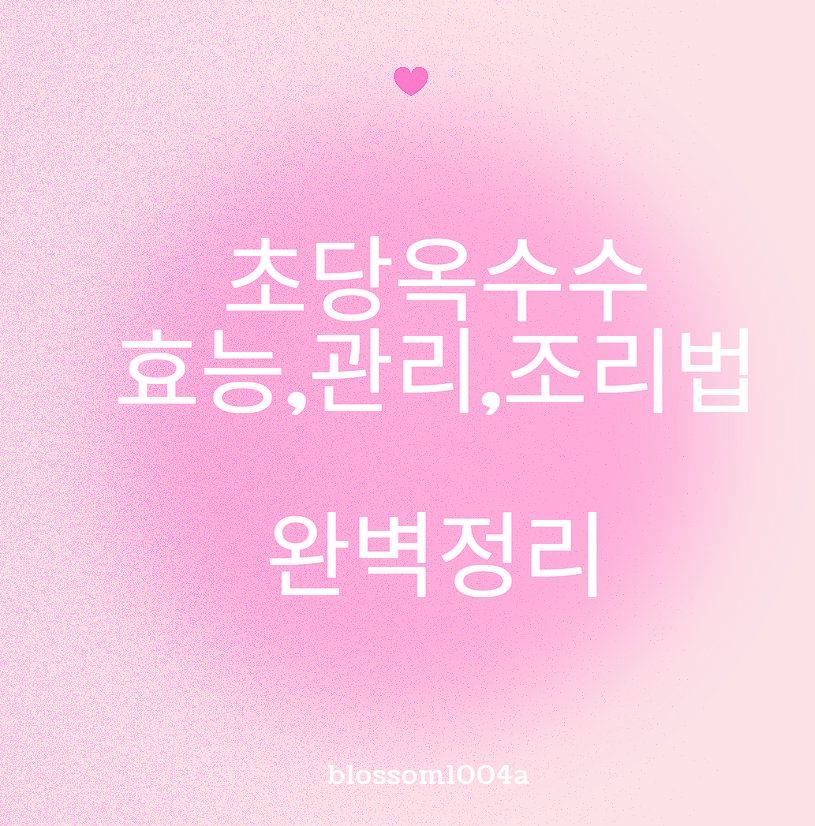 초당옥수수 효능 관리 조리법 등 완벽정리