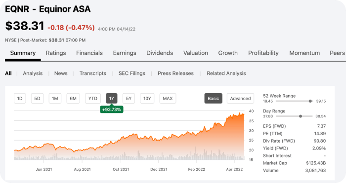 Equinor ASA - 미국 석유에너지 오일관련주