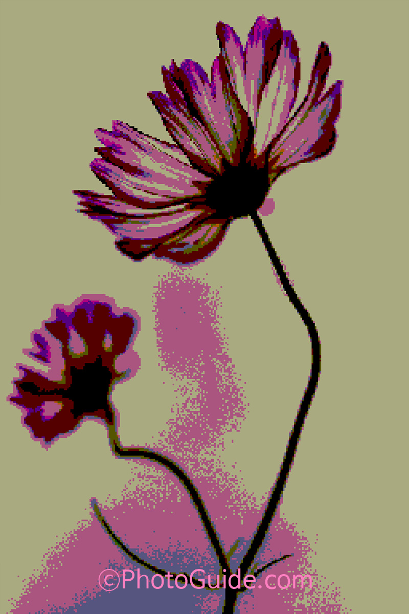 photoguide.com nft flower photo