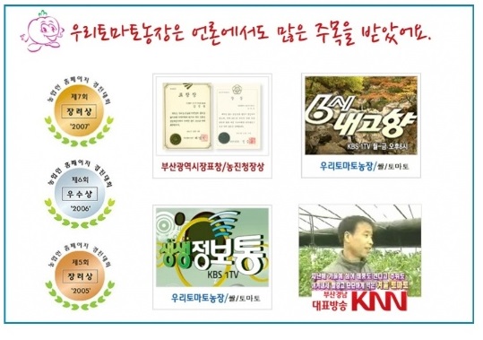 대저토마토-우리토마토농장