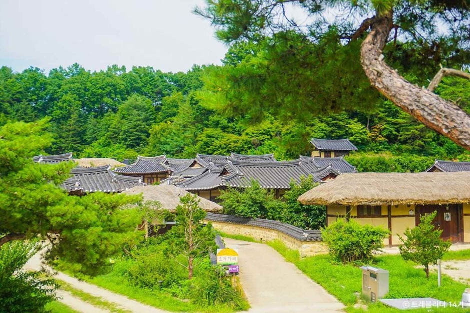 영주 가볼만한곳 베스트10