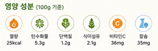 양배추이미지