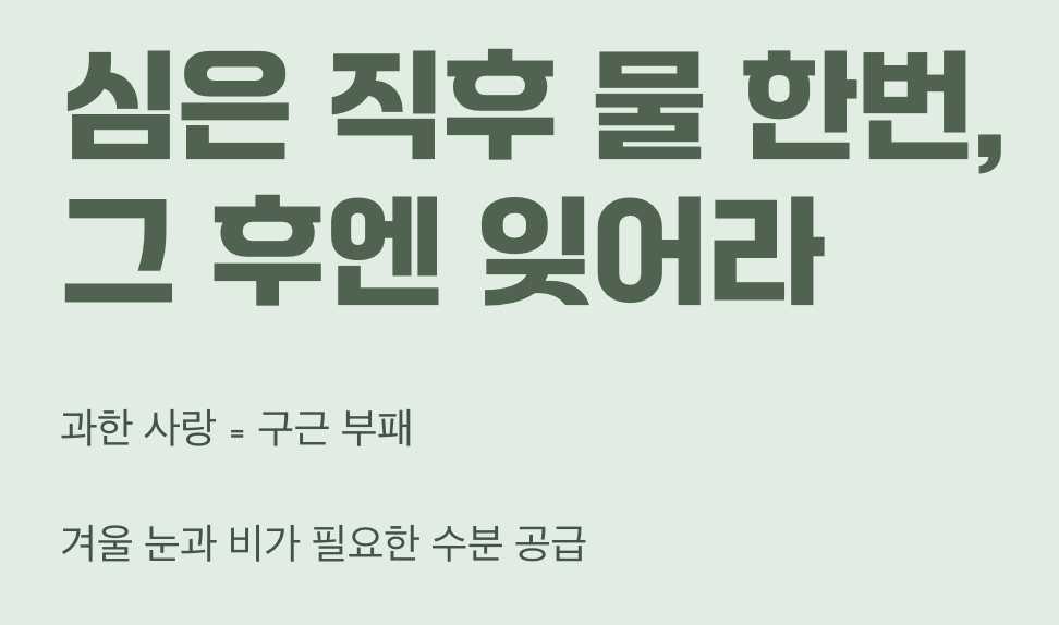 심고 난 후, 최고의 관리는 무관심