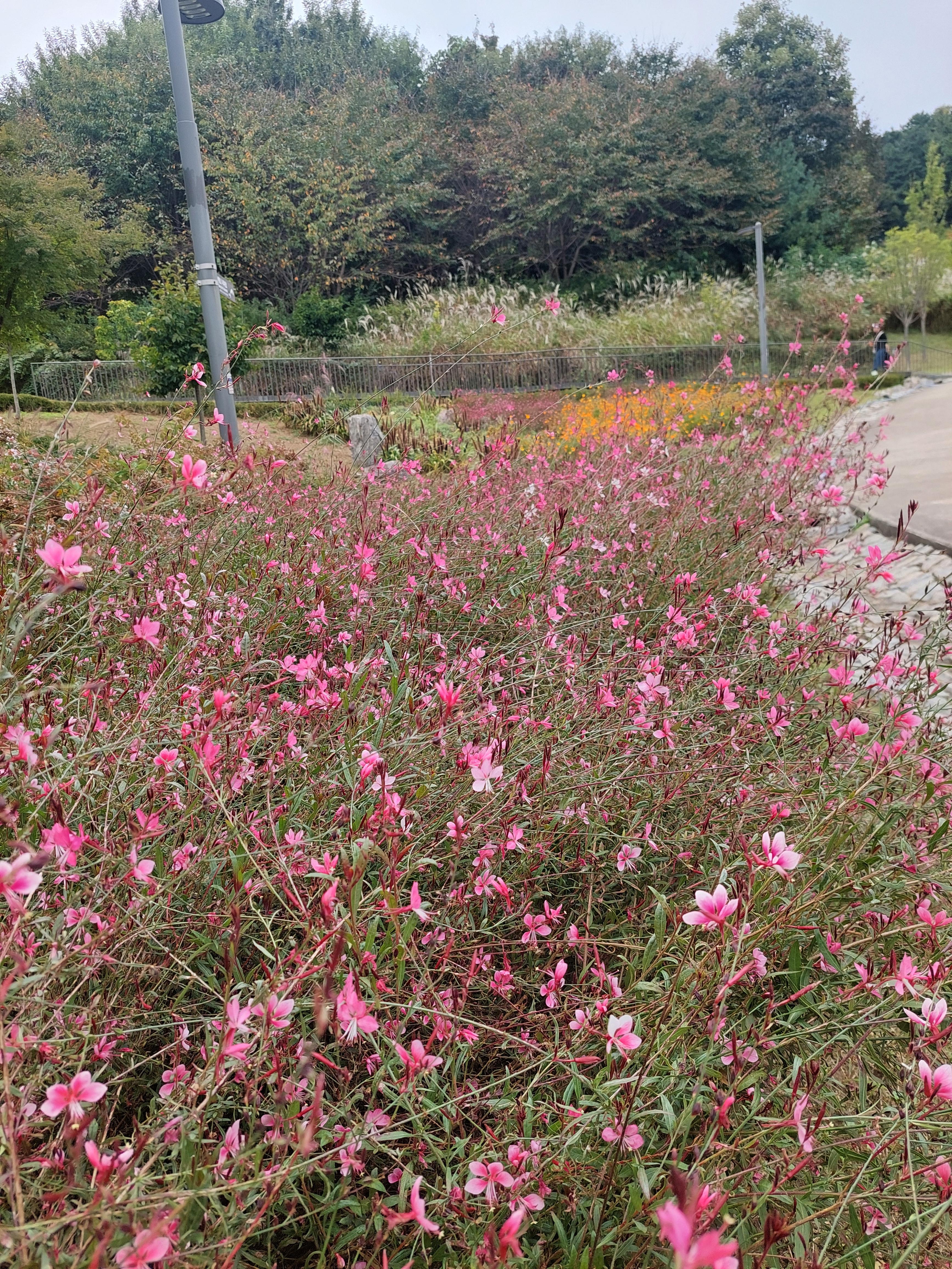 하늘공원