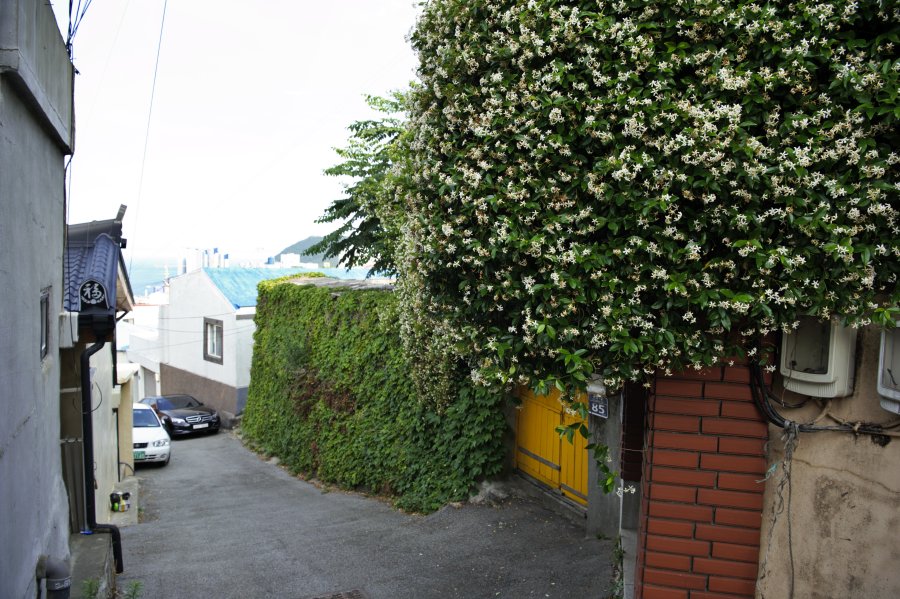 동삼1구역 재개발 지역