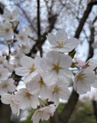 혜경궁베이커리