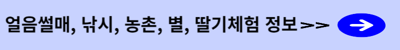 체험프로그램 정보