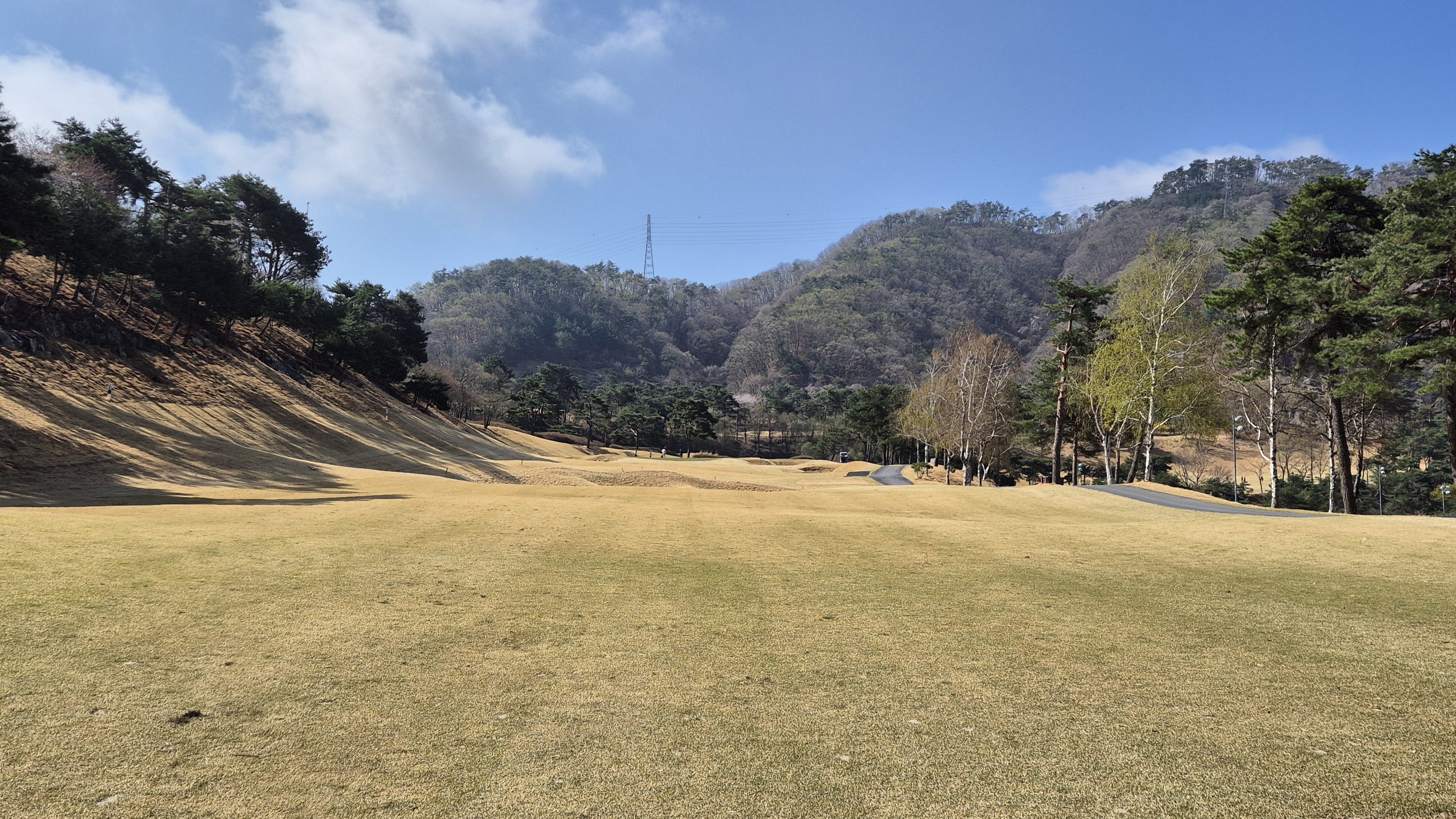 양평TPC