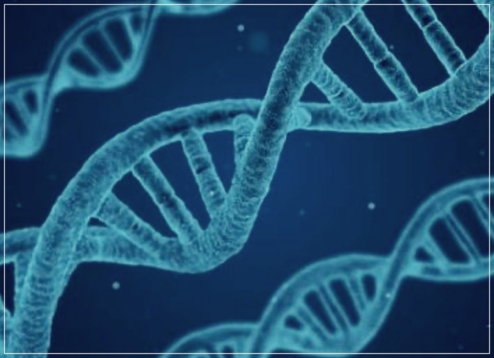 루게릭병: 원인, 초기증상, 그리고 찐정보