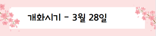 봄꽃 여행지