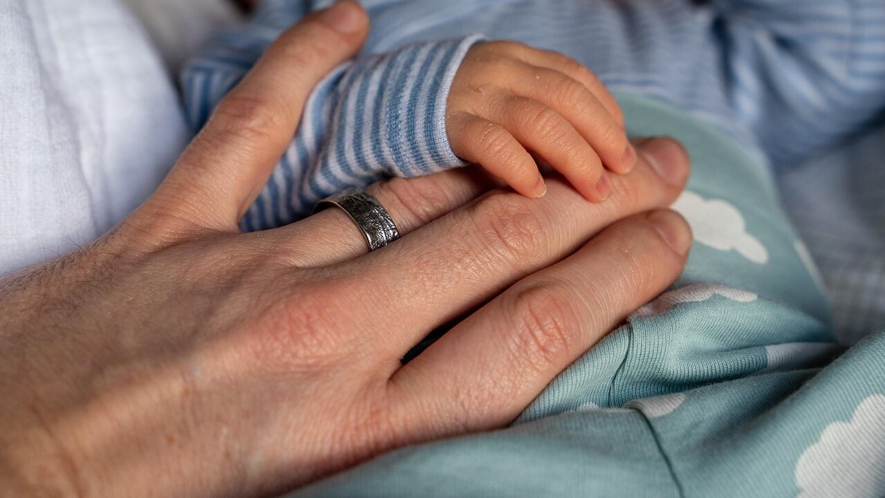 임신 중기 음식 영양