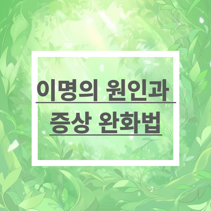 이명의 원인과 증상 완화법