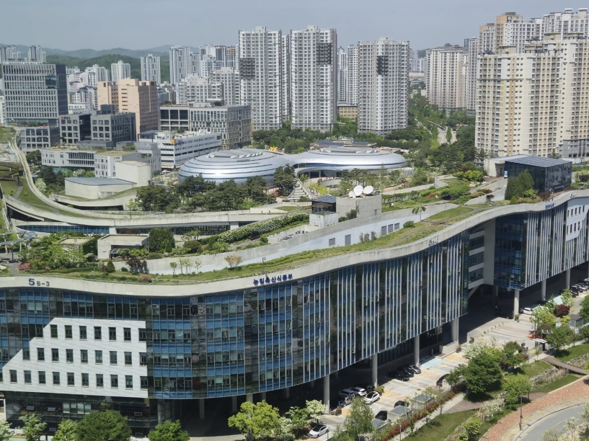 세종정부청사 전경.