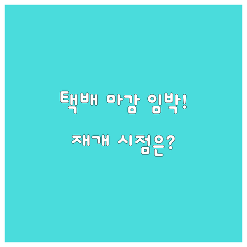 2025년 롯데택배 추석 연휴 배송 ..