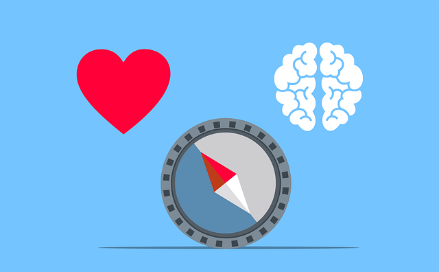 당신의 투자 결정을 망치는 확증 편향