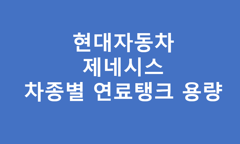 현대자동차 차종별 연료탱크 크기