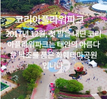 태안 튤립축제 2025