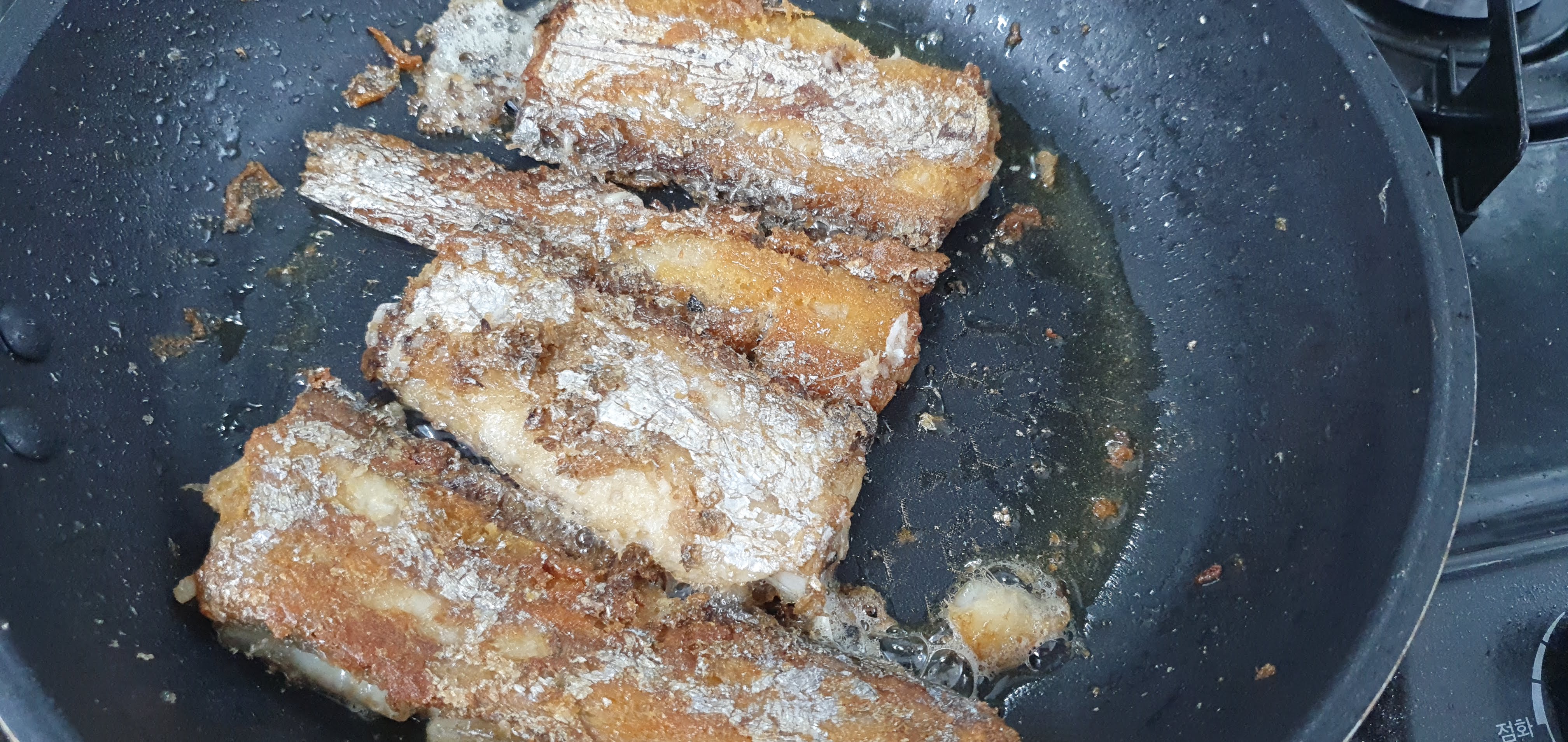 갈치