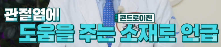 콘드로이친