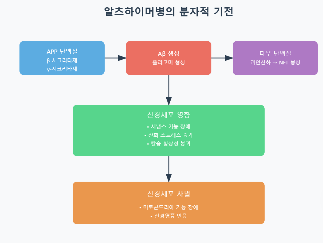알츠하이머병의 분자적 기전 및 아밀로이드 베타 축적
