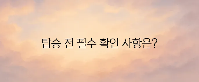 비행기 탑승 시 반입 금지 물품 및 제한 물품 총정리