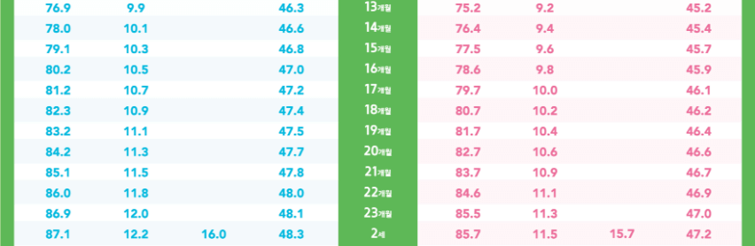 12개월 아기 발달