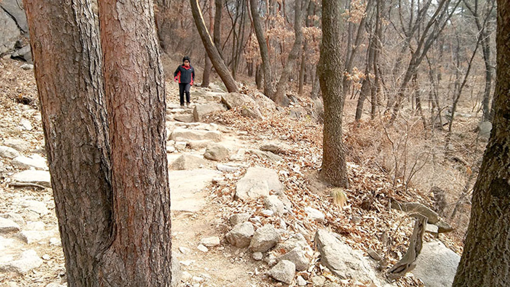 서울둘레길(SeoulDullegil) 1-2코스 수락산·불암산 나무 구멍