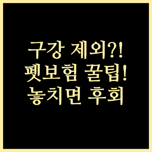 펫보험 치과 치료는 제외 구강 질환 ..