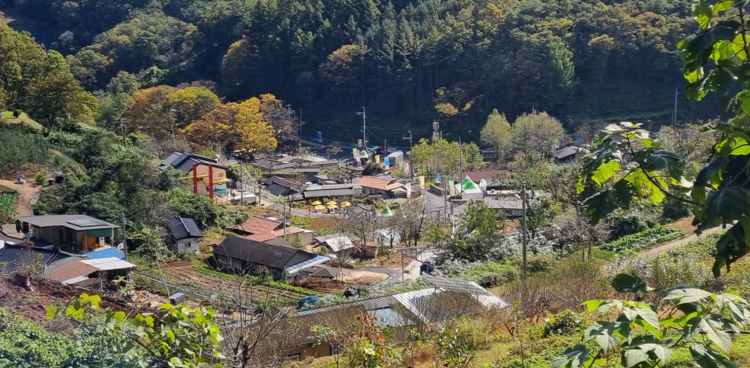 문경 돌리네습지