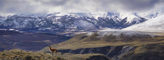 탄소 배출 없는 패션 브랜드 소개: 지속가능 패션과 환경 영향