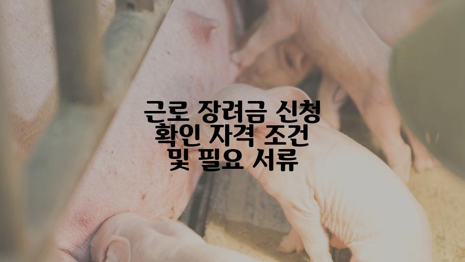 근로 장려금 신청 확인 자격 조건 및 필요 서류